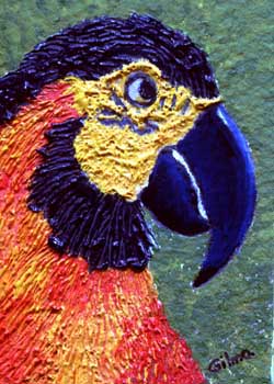 "Columbian Parrot" by Gilma Arenas, Madison WI - Mixed Media (NFS)